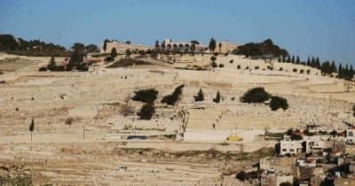 Implications of Israelis' Peace Preferences Amid Gaza Conflict
