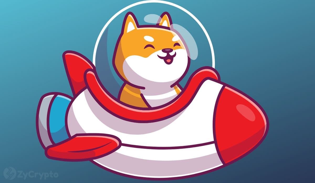 Shiba Inu Hits Six-Year Milestone with Whale Buys and Market Momentum