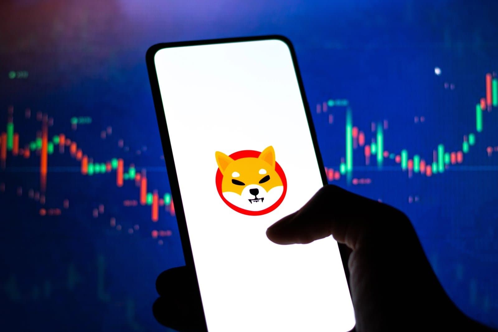 Shiba Inu Whale Resumes Buying After 8 Months, Grabs Over 50 Billion SHIB on Binance
