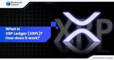 XRP Ledger Surpasses 490,000 New Accounts in Early 2026 Amid Stablecoin Surge