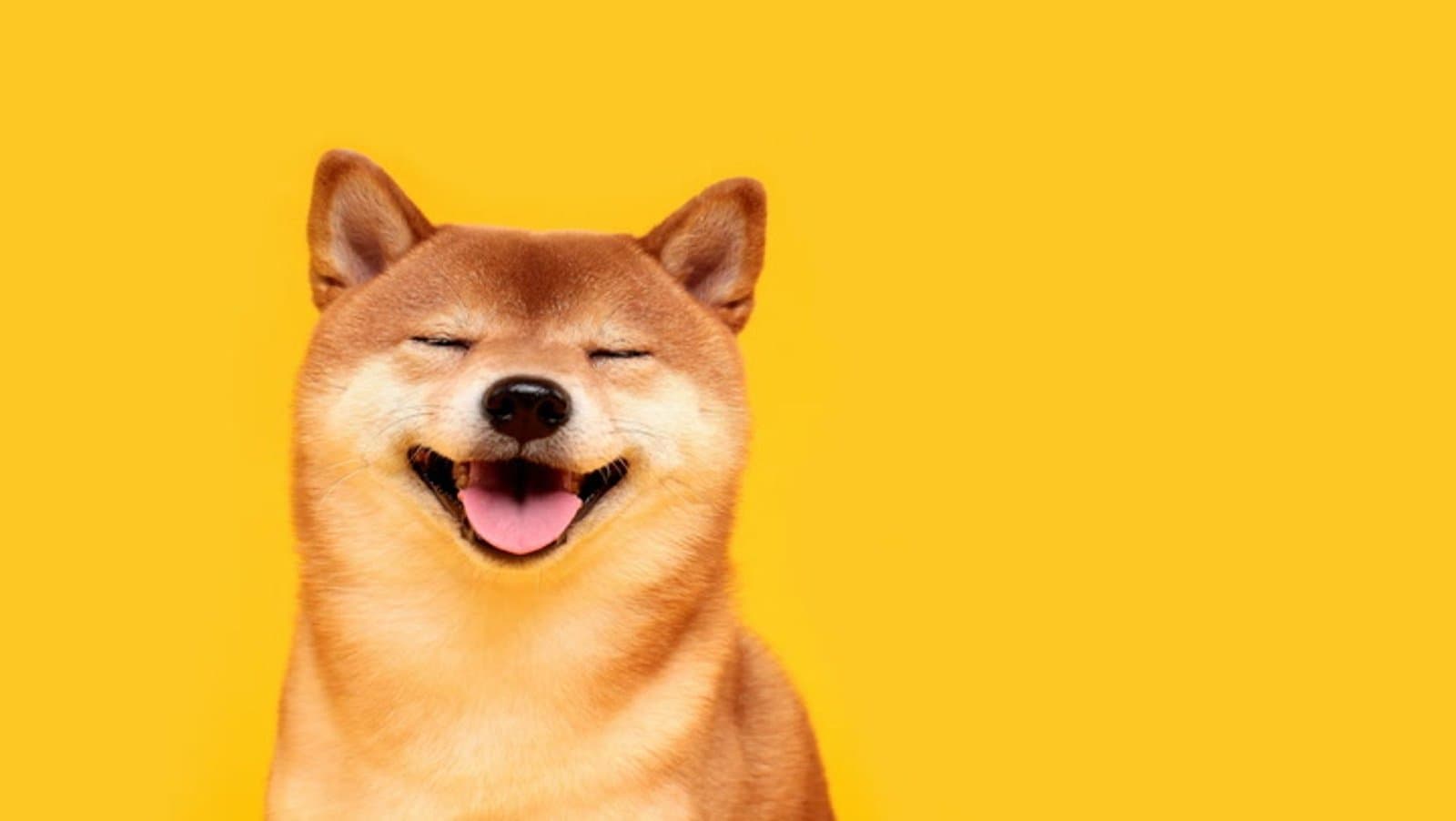 Shiba Inu Jumps 36% Driven by Surge in South Korean Trading Activity