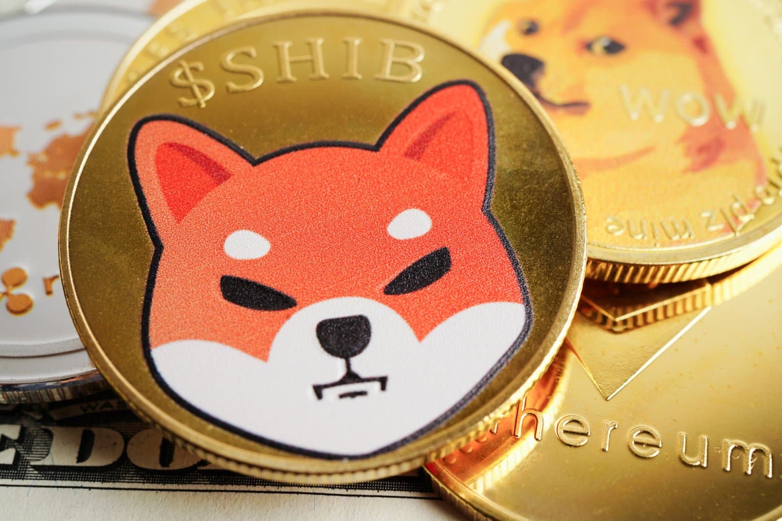What SBI's 1.11 Trillion SHIB Acquisition Means for Crypto Liquidity