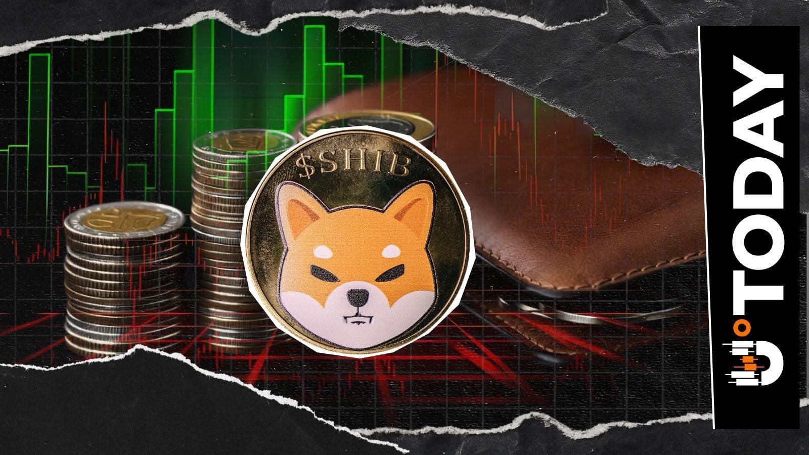 What Shiba Inu's Rising Holder Count Means for the Market