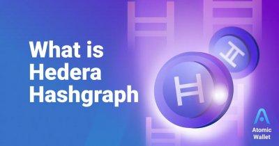 What the Recent $5.25 Million Hedera Exploit Means for Investors