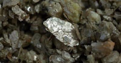 How the Pentagon's Lithium Purchase May Reshape Market Dynamics