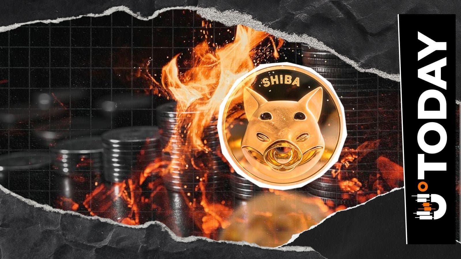 Shiba Inu Burns Over 24 Million Tokens as Weekly Burn Rate Skyrockets