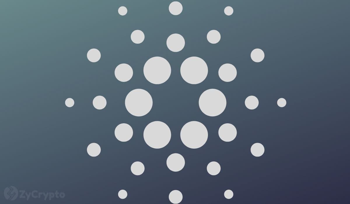 Why Cardano Whales Are Accumulating Despite Ongoing Price Decline