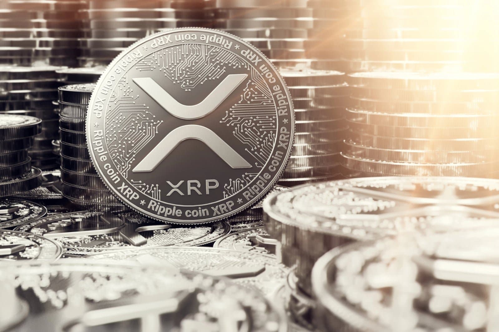 XRP Daily Active Users Top 157,000 as Network Activity Holds Steady