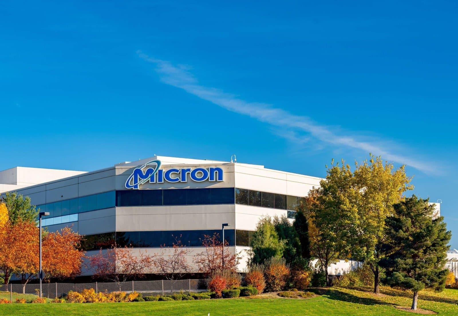 What Recent Trends Reveal About Micron's Market Position