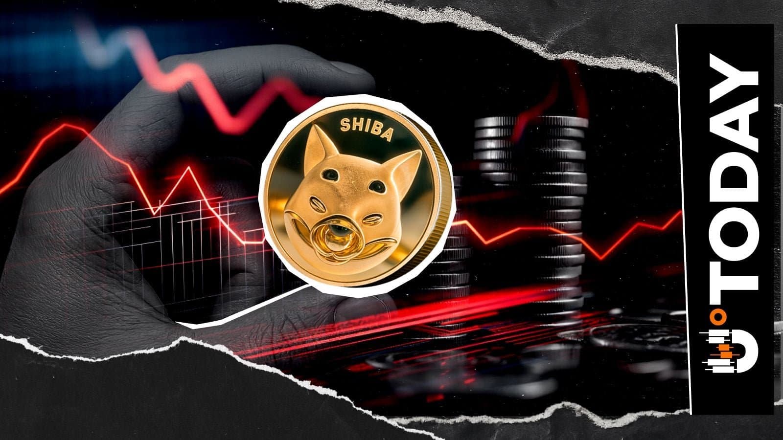 Shiba Inu Net Flow Points to Growing Bullish Momentum Amid Price Dip