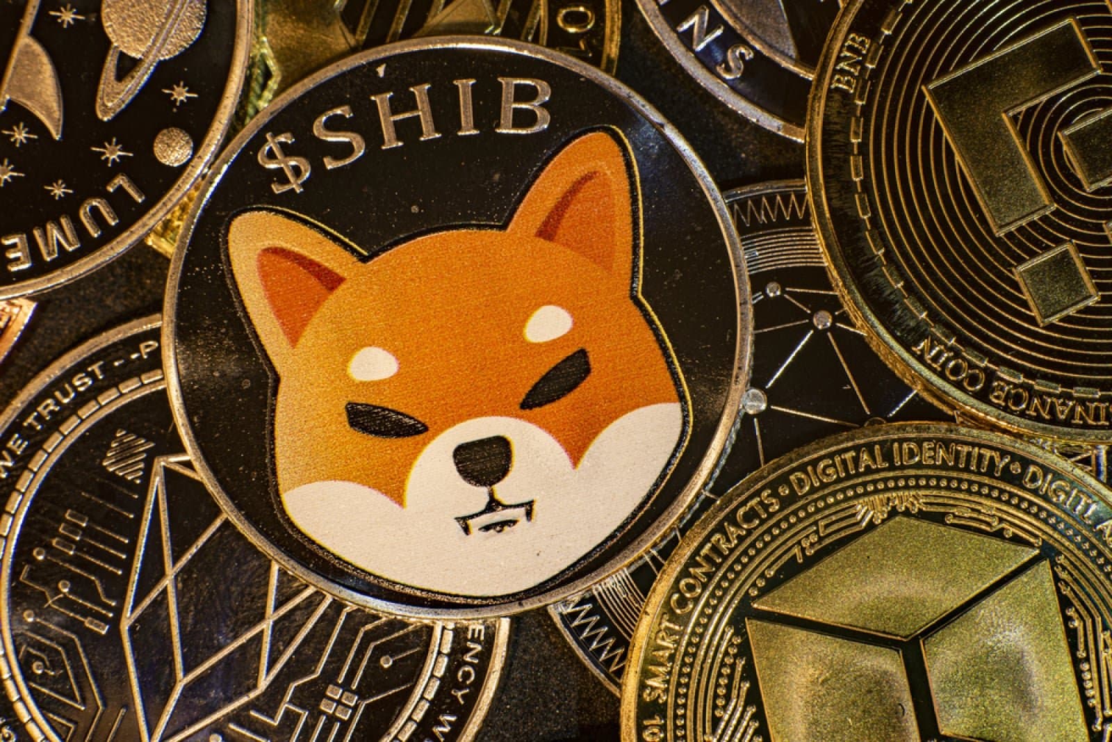 Shiba Inu's Trading Volume Surge Fades as Buyers Lose Steam