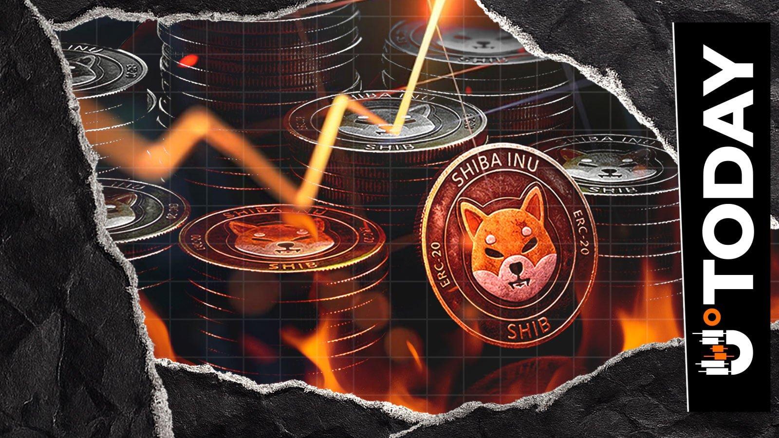What Recent SHIB Burns Indicate About Market Sentiment and Recovery
