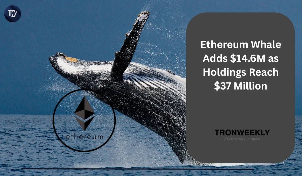 Ethereum Whale Boosts Holdings by $14.6 Million, Now Holds $37 Million in ETH