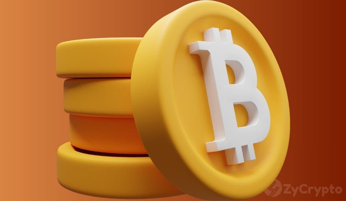 Elon Musk's Wealth Decline: What It Means for Crypto Stability