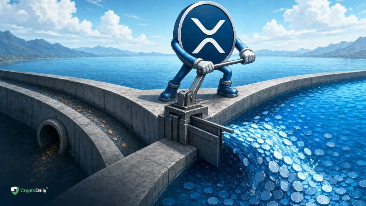 XRP Large Holders Build Positions as Small Investors Step Back