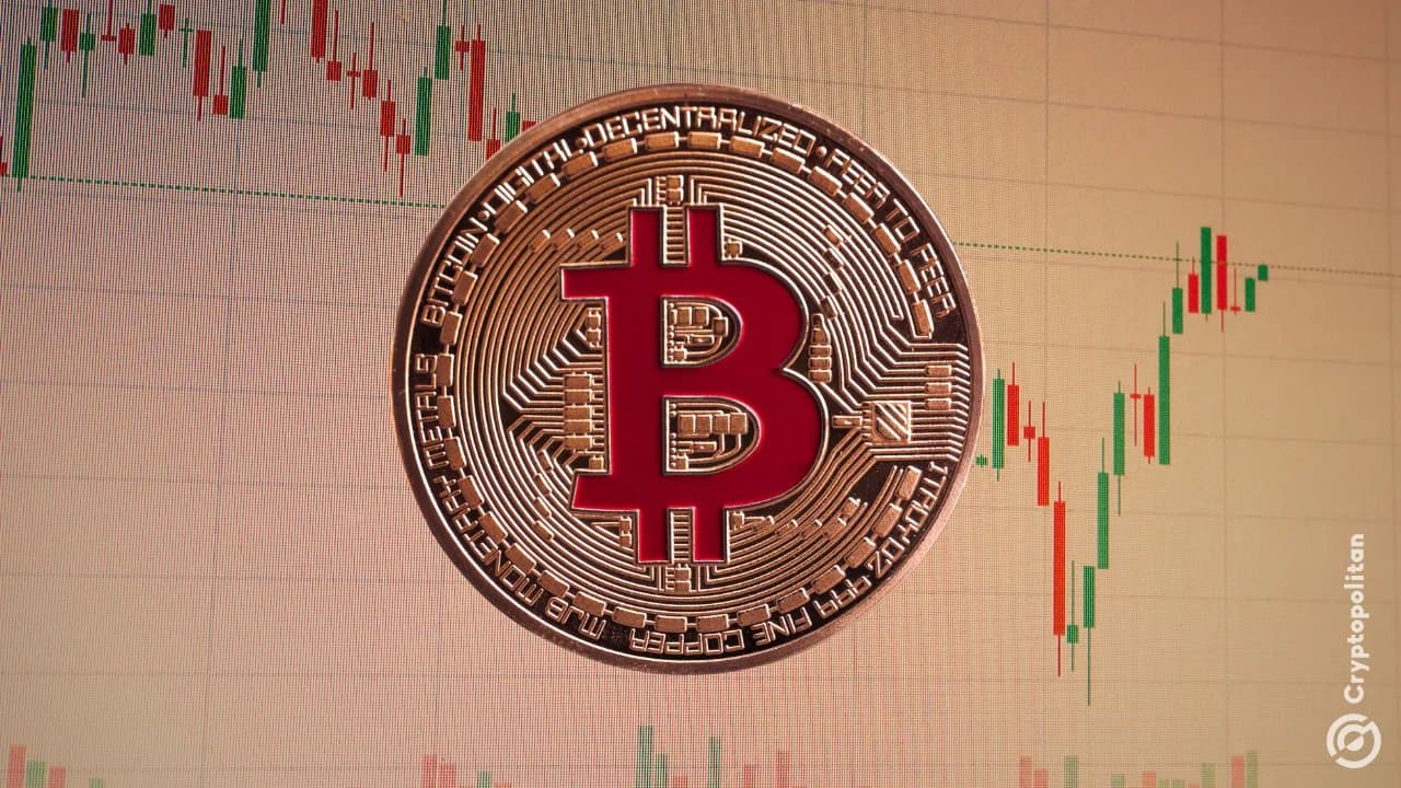 Bitcoin's Long-Held Coins Show Least Activity Since 2022, Says Galaxy Digital