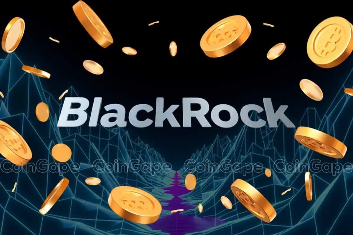 BlackRock pushes into tokenized cash with two new money market funds