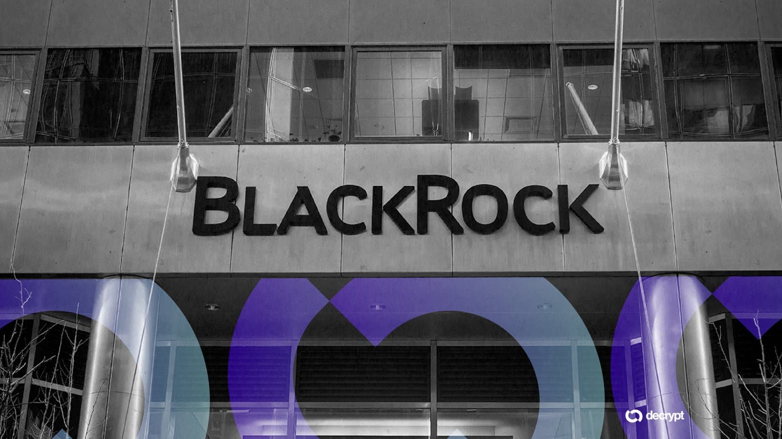 BlackRock Brings Tokenized Money Markets to Solana and Ethereum