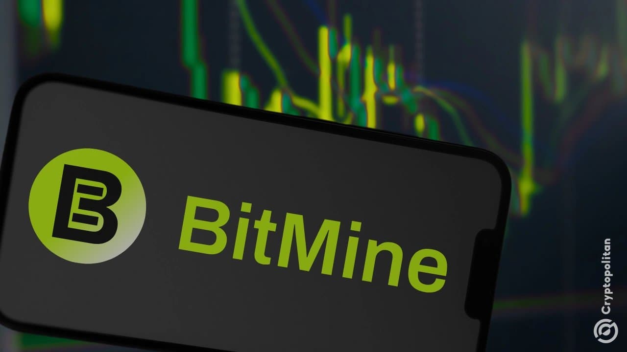 How Bitmine's Ether Holdings Reflect Market Vulnerabilities