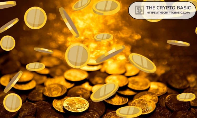 What the CASHCAT Collapse Means for Meme Coin Investors