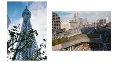 How Japan's New Intelligence Agency Could Shift Regional Security Dynamics