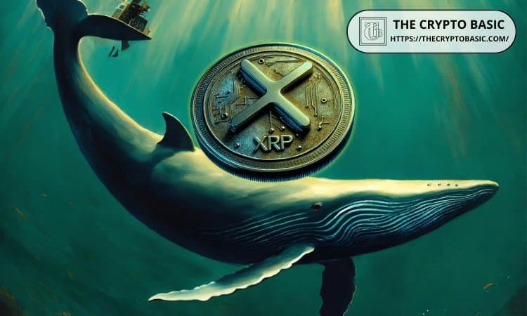 How XRP Whales' Growing Control of Outflows Reshapes Market Dynamics