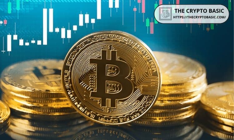 Bitcoin Long-Term Investors Accumulate BTC at Highest Rate Since 2017