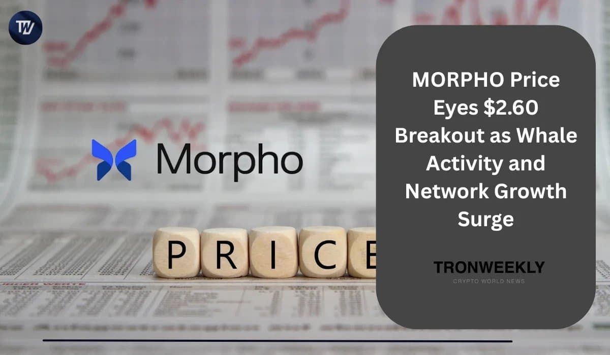 MORPHO Poised for Rally as Whales and Network Activity Accelerate