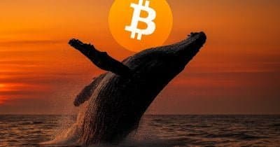 How the Iran Conflict's Impact on Oil Prices Influences Crypto Markets