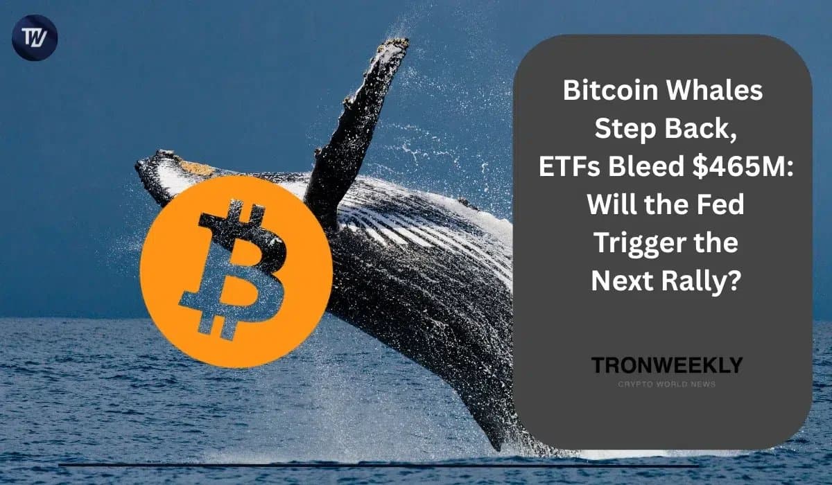 Bitcoin Whales Pull Back While ETFs See $465M Outflows Ahead of Fed Meeting