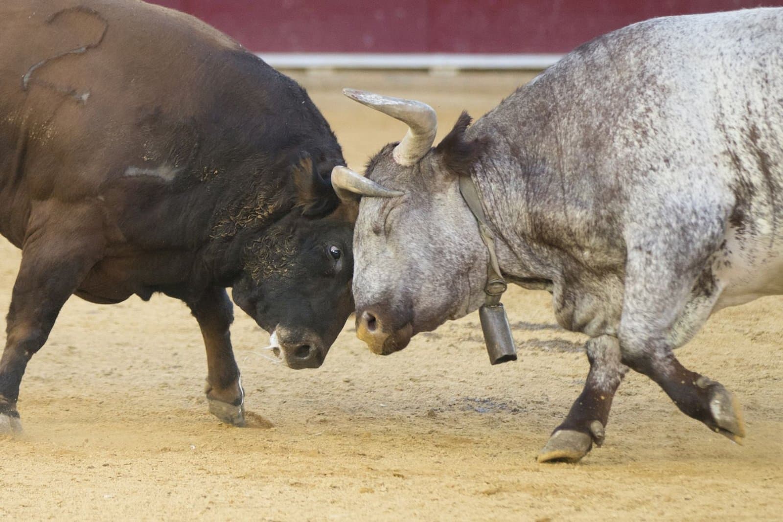 Bitcoin Bulls Hit a Wall as 30-Year TIPS Yields Reach a 17-Year Peak