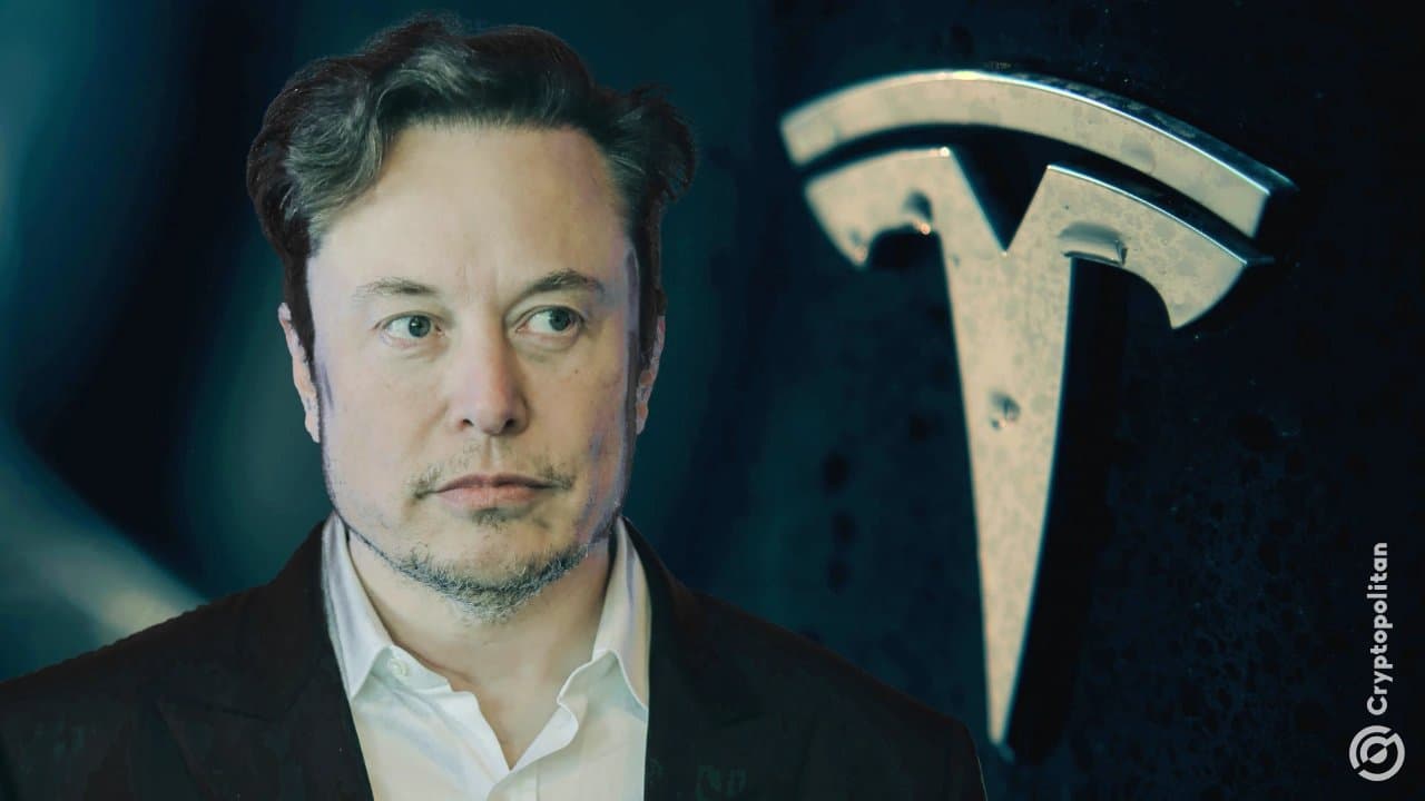 Elon Musk Denies Tesla Plans to Exit China Amid Market Pressures