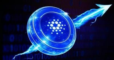 What Record Whale Accumulation Means for Cardano's Future