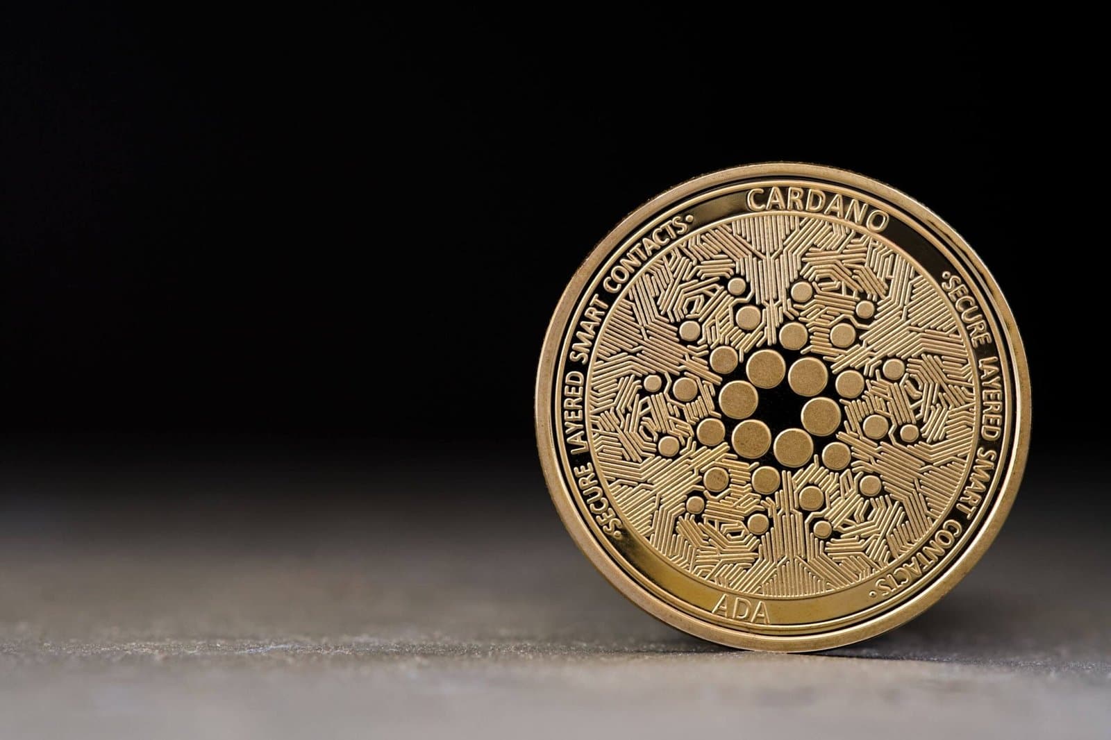 Cardano Whales Boost Holdings Amid Price Upswing and Rising Trading Volume