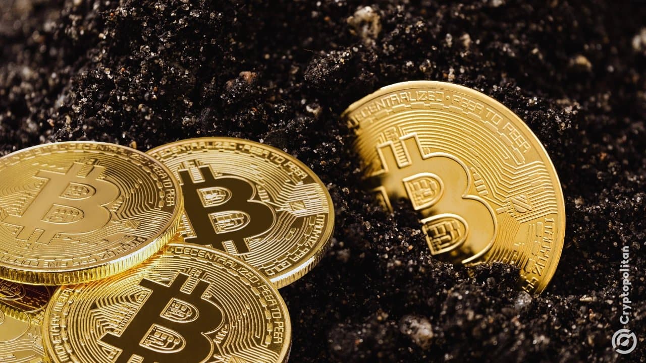 Bitcoin exodus: miners dump holdings to bankroll AI data center race