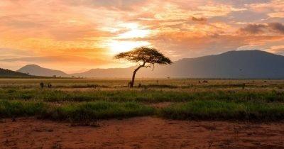 How the US-Iran Tensions are Reconfiguring Africa's Energy Landscape