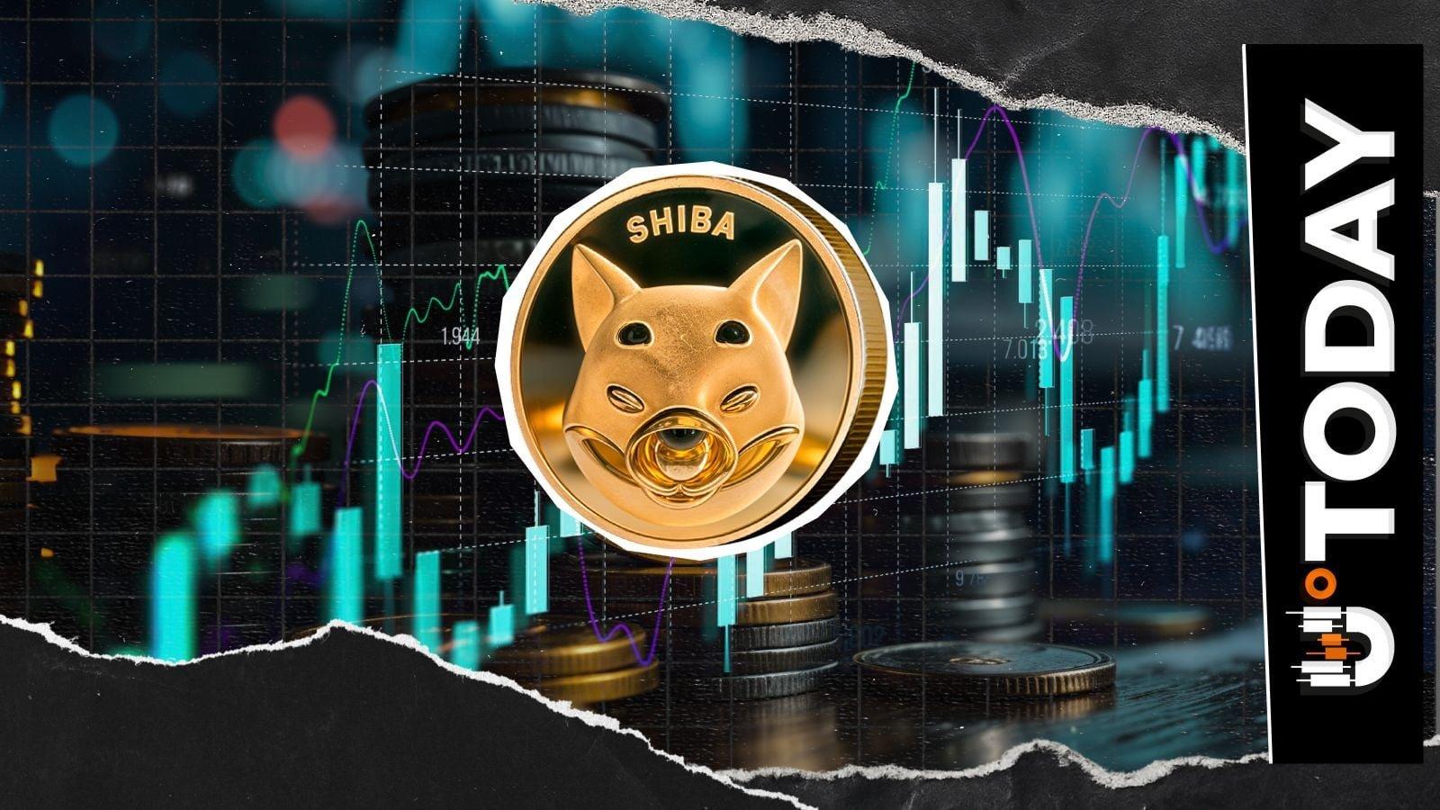 What Shifting Demand for SHIB Says About Market Sentiment
