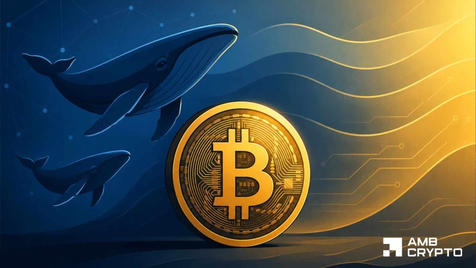 Bitcoin’s Profitability Rises but Full Recovery Remains Unconfirmed