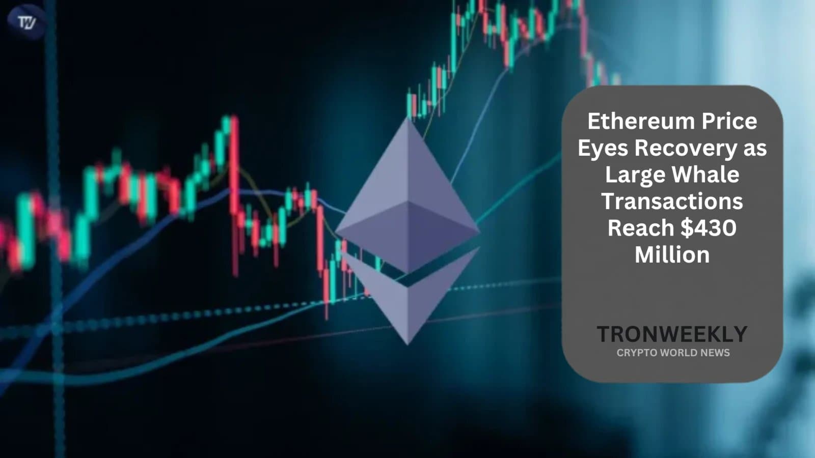 Ethereum Stirs as Whales Move $430 Million, Eyes Key Support Level