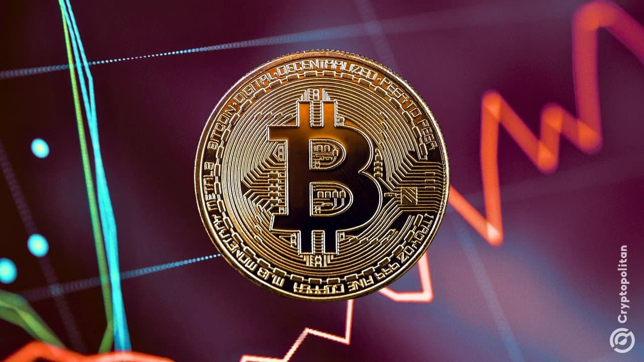 What Satsuma’s 668 BTC Sale Means for Corporate Bitcoin Holds