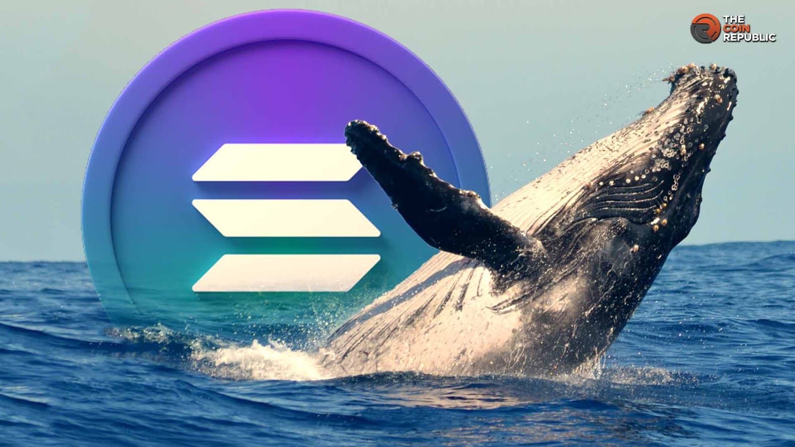 Solana Whales Reactivate Wallets Amid Signs of Potential Price Pressure