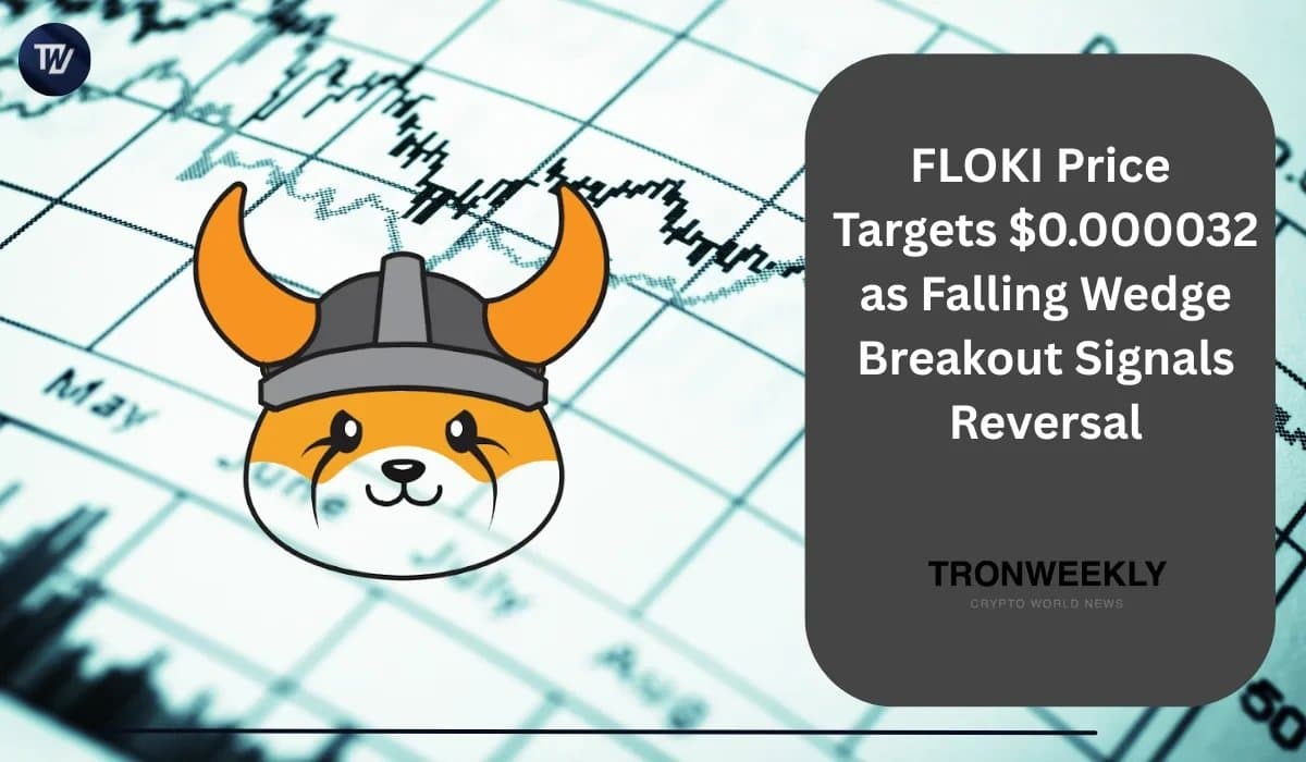 FLOKI Shows Signs of Recovery with Potential Rally to $0.000032