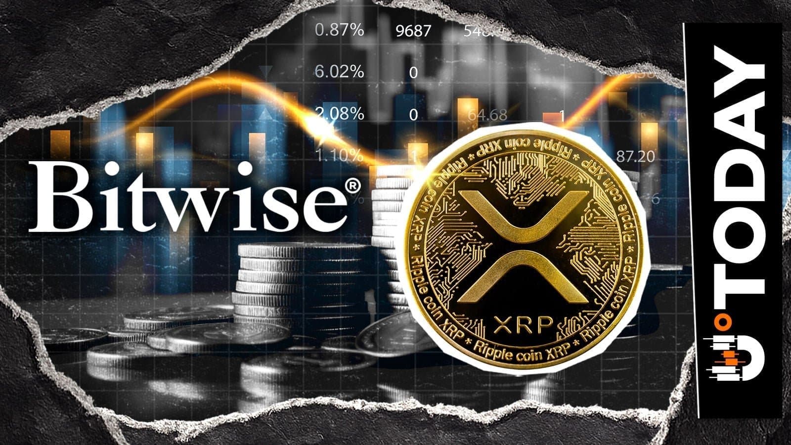 Bitwise Dumps $3.6 Million in XRP as Token Stumbles