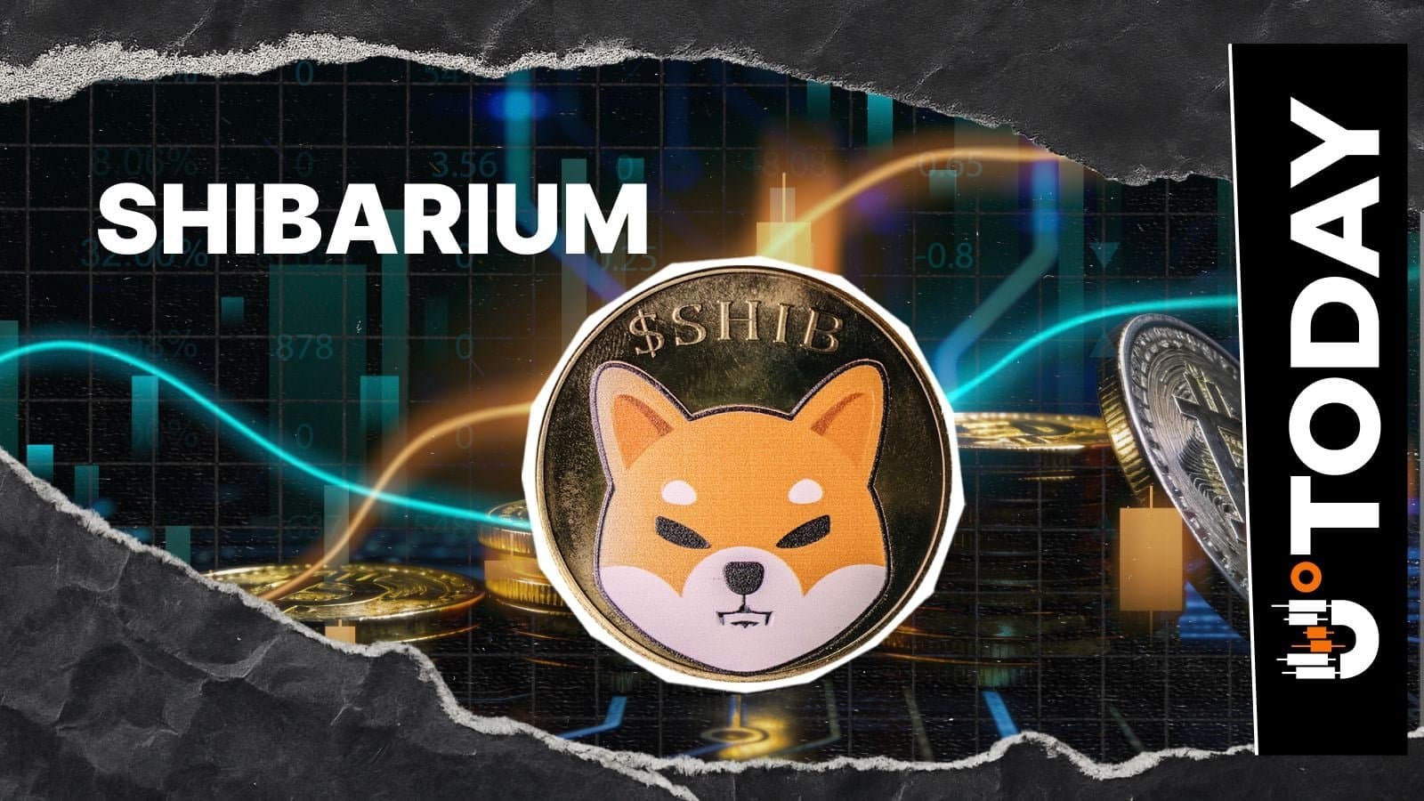 Shibarium's DeFi Trading Volume Collapses to Mere $72 Amid Market Fade