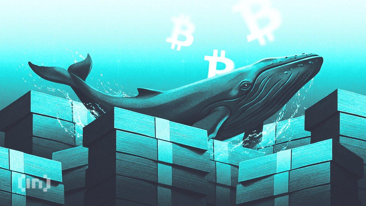 What Whale Accumulation Signals for Altcoins Before 2026