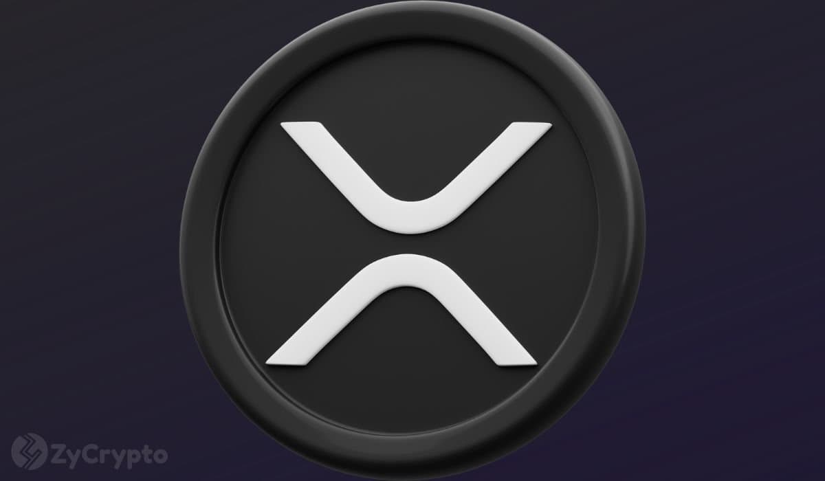 XRP Sees Surge in Whale Holdings While Retail Investors Scale Back