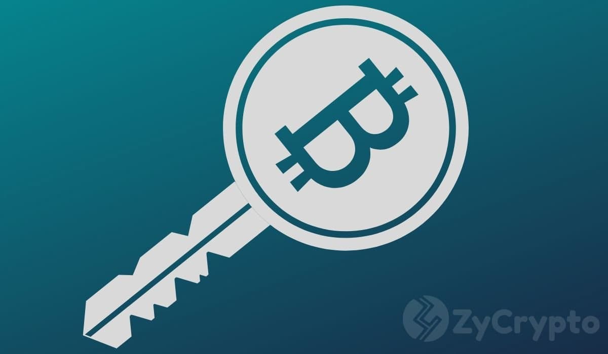 Can Bitcoin Outshine AI in the Battle Against Inflation?