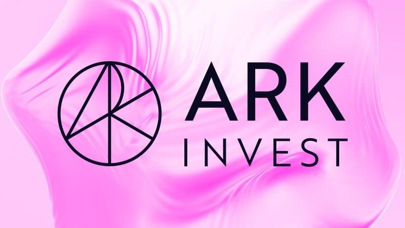 Why Ark Invest Doubled Down on Circle While Everyone Else Sold