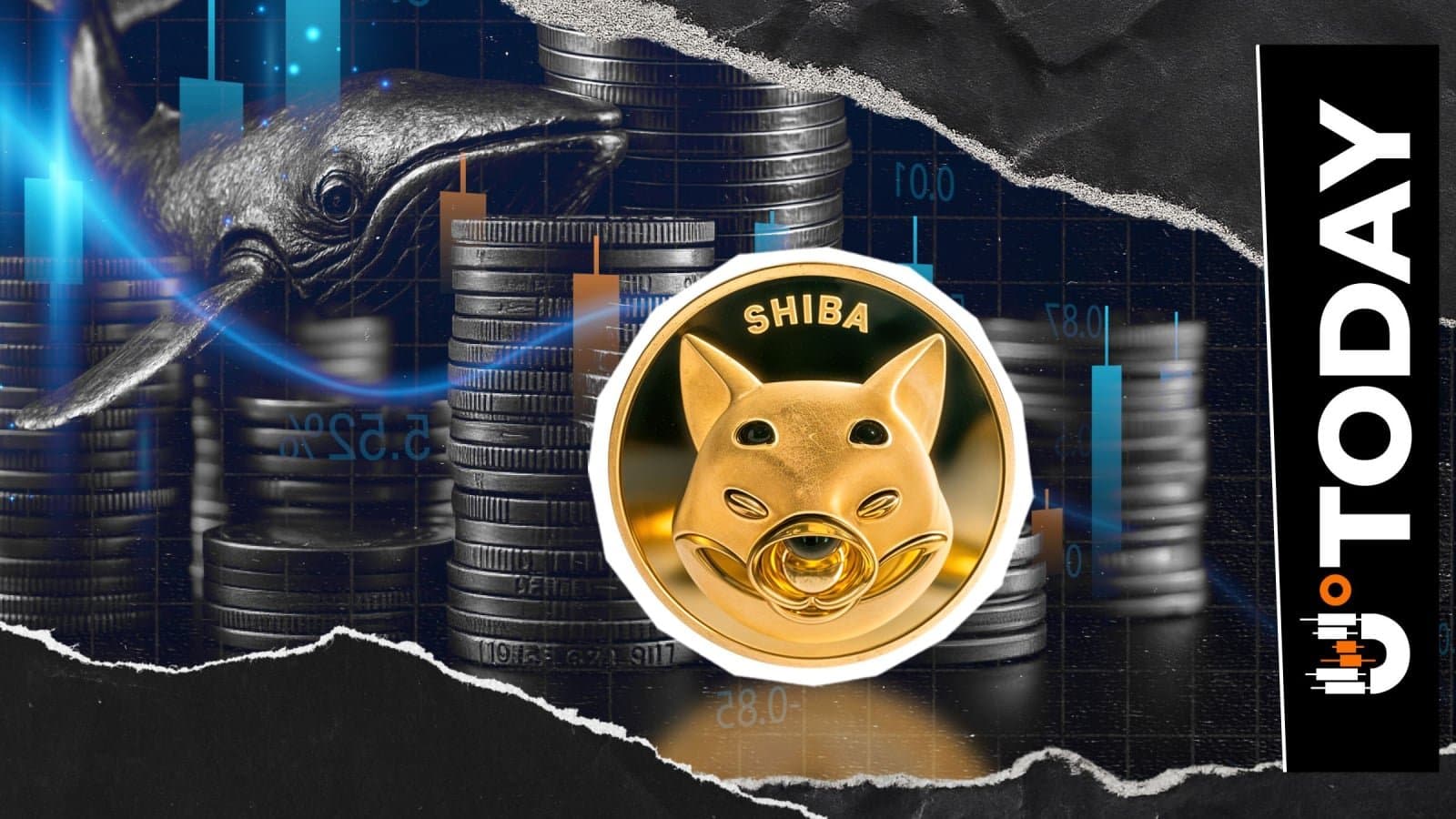 Shiba Inu Sees 97% Drop in Exchange Netflow Despite Price Rally