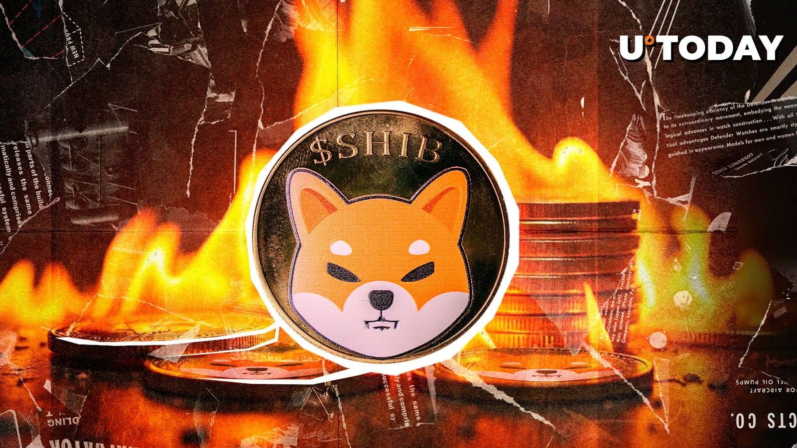 What Shiba Inu’s Surge in Token Burns Means for Its Market Dynamics